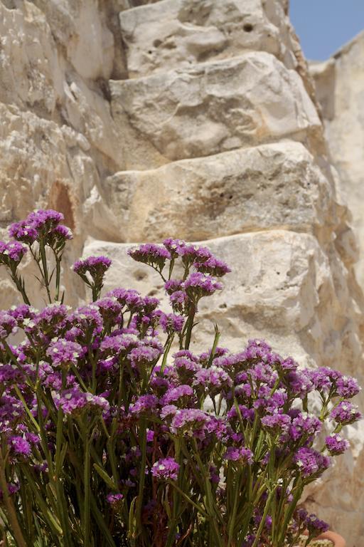 מרטינה פרנקה Masseria Madonna Dell'Arco Agriturismo מראה חיצוני תמונה